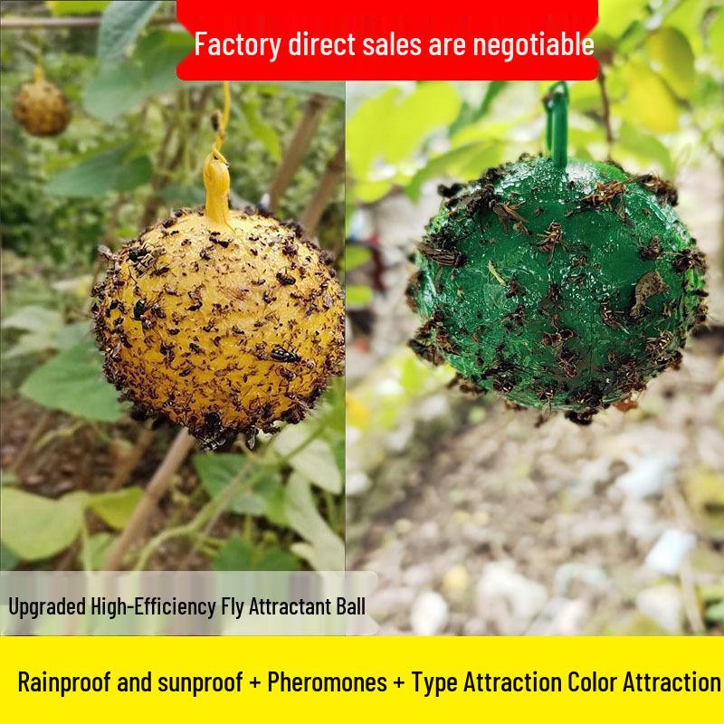 Bee and Fly Attractant Sticky Citrus Trap Ball for Fruit Trees and Melon Orchards