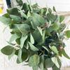 10pcs Direct Sales Simulation Single Branch Silk Screen Printing Three-Pronged 42 Mesh Eucalyptus Green Plant Eucalyptus Leaf Money Leaf Home