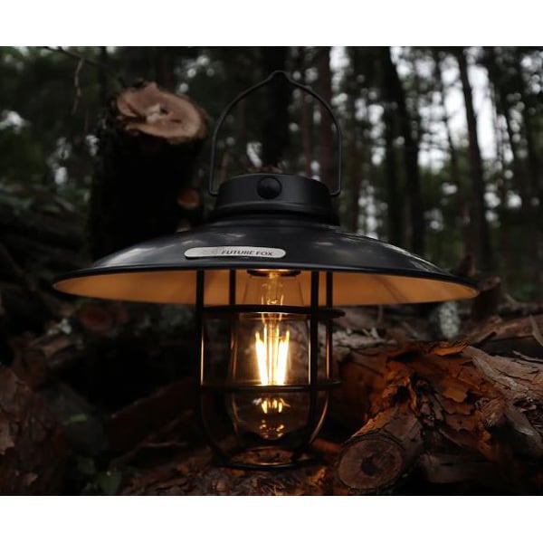 Future Fox Future Fox Future Fox Mountain Hut Lantern