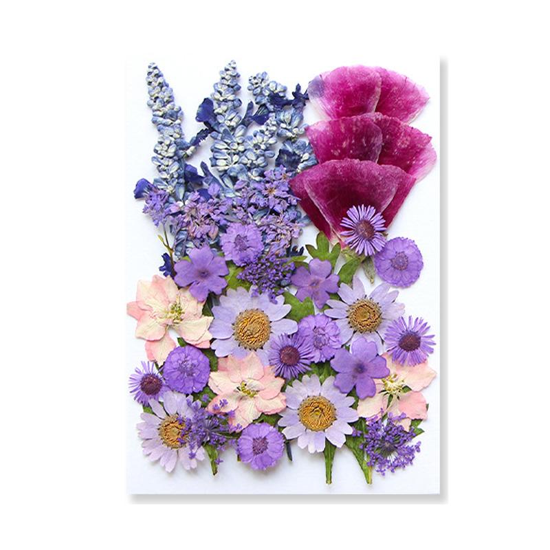 Dried Flowers Real Natural Plant Pressed Flower For Epoxy Resin Filling DIY Keychain Pendant Silicone Mold Jewelry Making Crafts