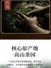 Xiaocha Diary Phoenix Single Pine Duck Shit Fragrance Oolong Tea Canned 250g