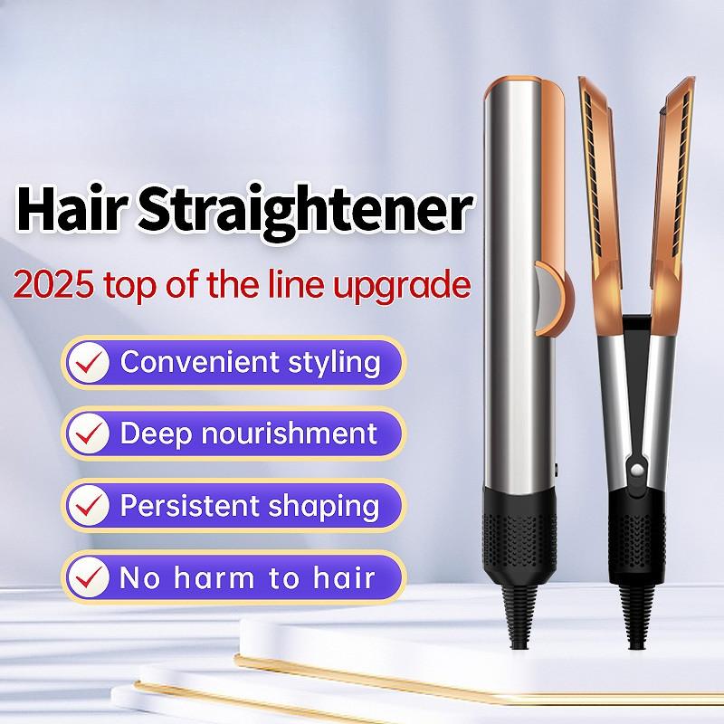 2 IN 1 Portable Wet To Dry Dual Use Hair Straightener Professional  Hair Styling Tools Blow Dryer & Straightener