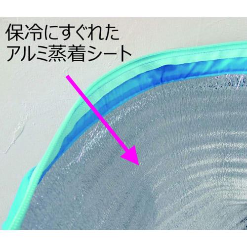 Epios Pop Color Insulated Cooler Bag (Fits 6 X 500ml Bottles) Green