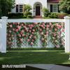 2D American Yard Full Bloom Rose Trellis Nature Photography Background