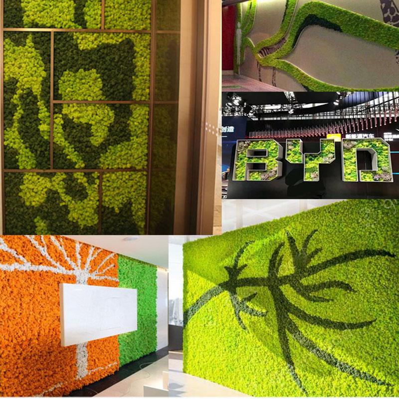 20g Artificial Green Moss Plants Eternal Life Grass Mini Landscape Fake Grass DIY Crafts for Home Living Room Garden Decor