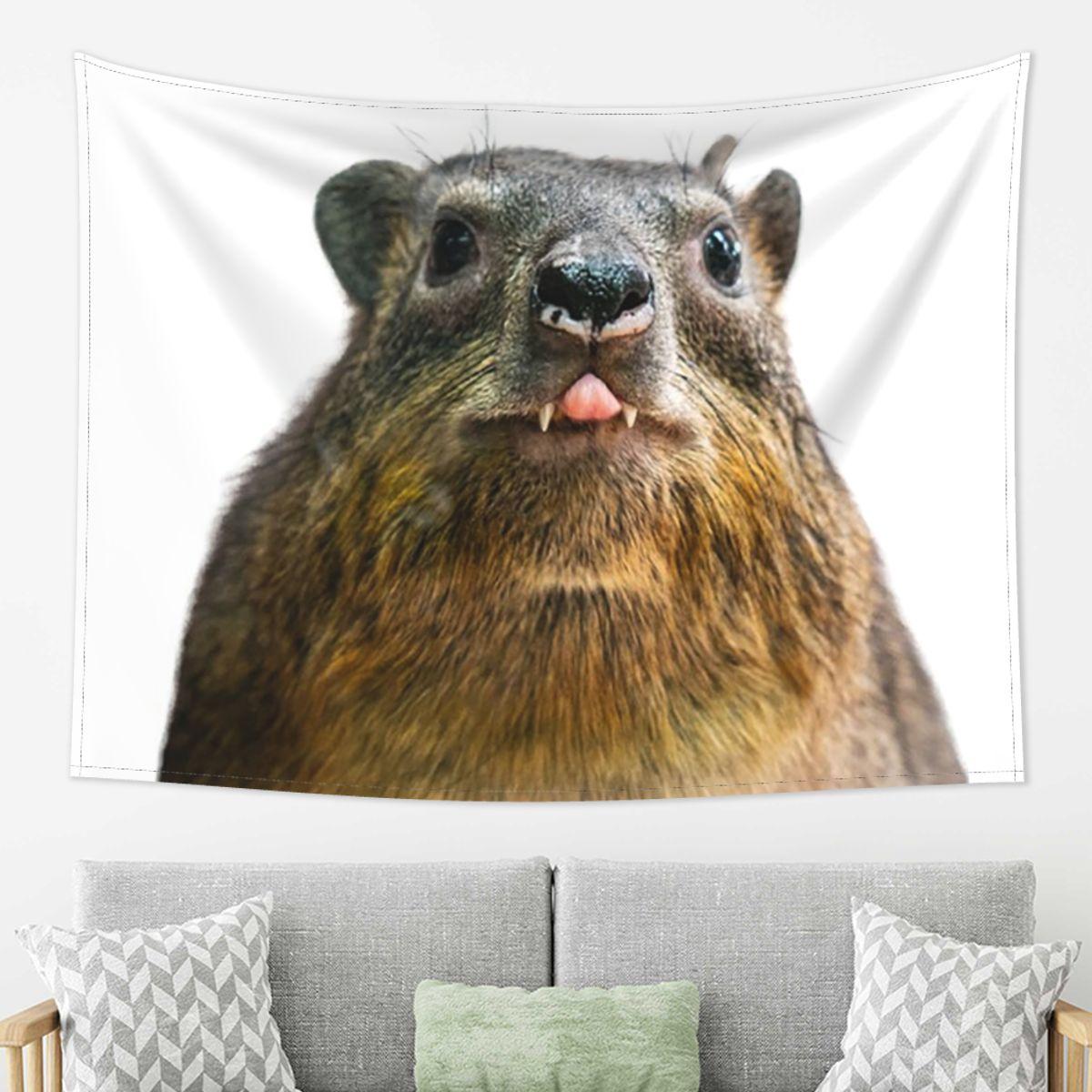 

Rock Hyrax Photo Cute Vampire Potato Tapestry Wall Hanging Aesthetic Home Decor Tapestries for Living Room Bedroom 74x94cm(29x37in)