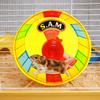 Super Silent Colorful Running Wheel Stable Base Pet Jogging Wheel  Hamster Exercise