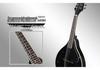 IRIN Tibetan Eight-String Ethnic Mandolin Instrument