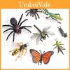 Jungle Rainforest Insect Butterfly Poison Spider Pvc Model Set With Realistic Wildlife Display For Nature Enthusiasts