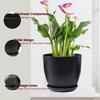 Elegant Black Plant Pot with Effective Drainage System for Home and Office Use Aesthetic Flowerpot