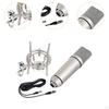 Condenser Microphone for Professional Music