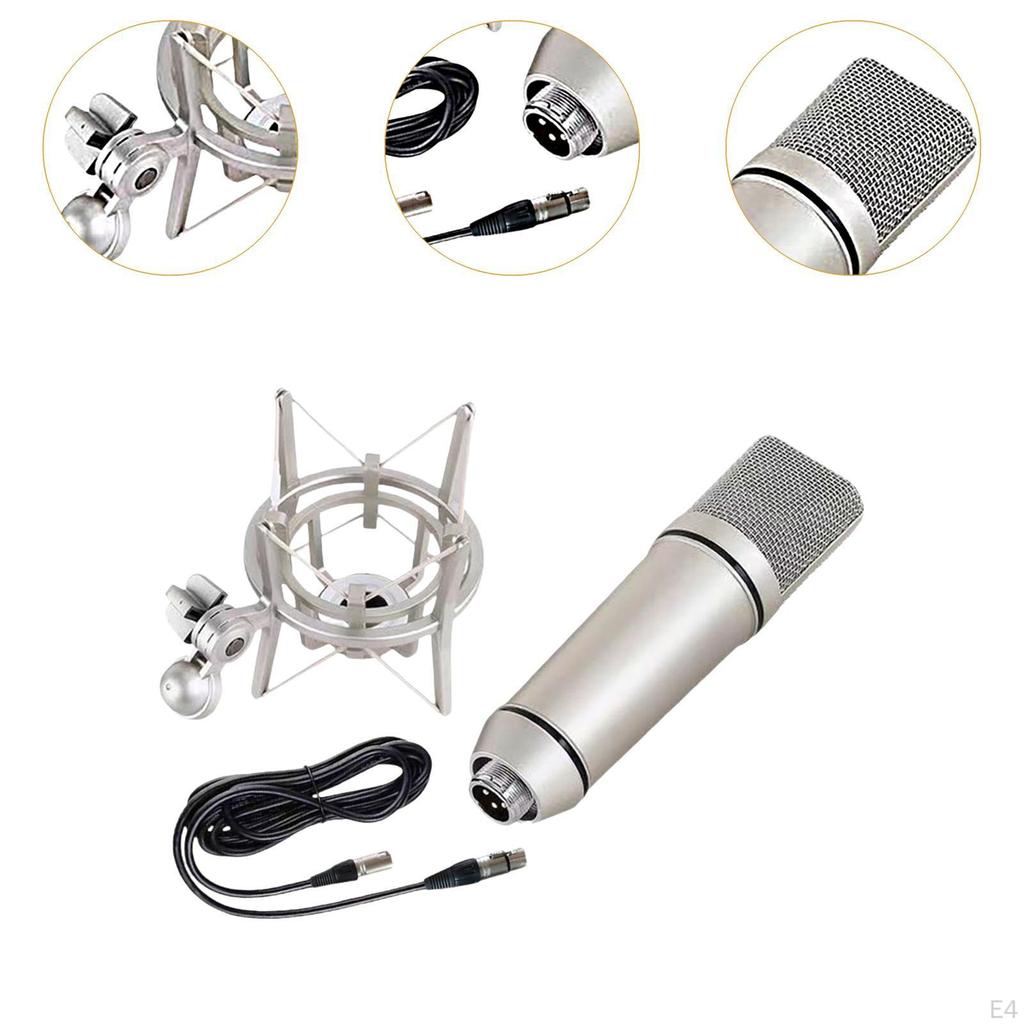Condenser Microphone for Professional Music
