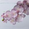 Iron Wire Inner Lining Artificial Butterfly Orchid 10 Heads Silk Flower  Wedding Decoration