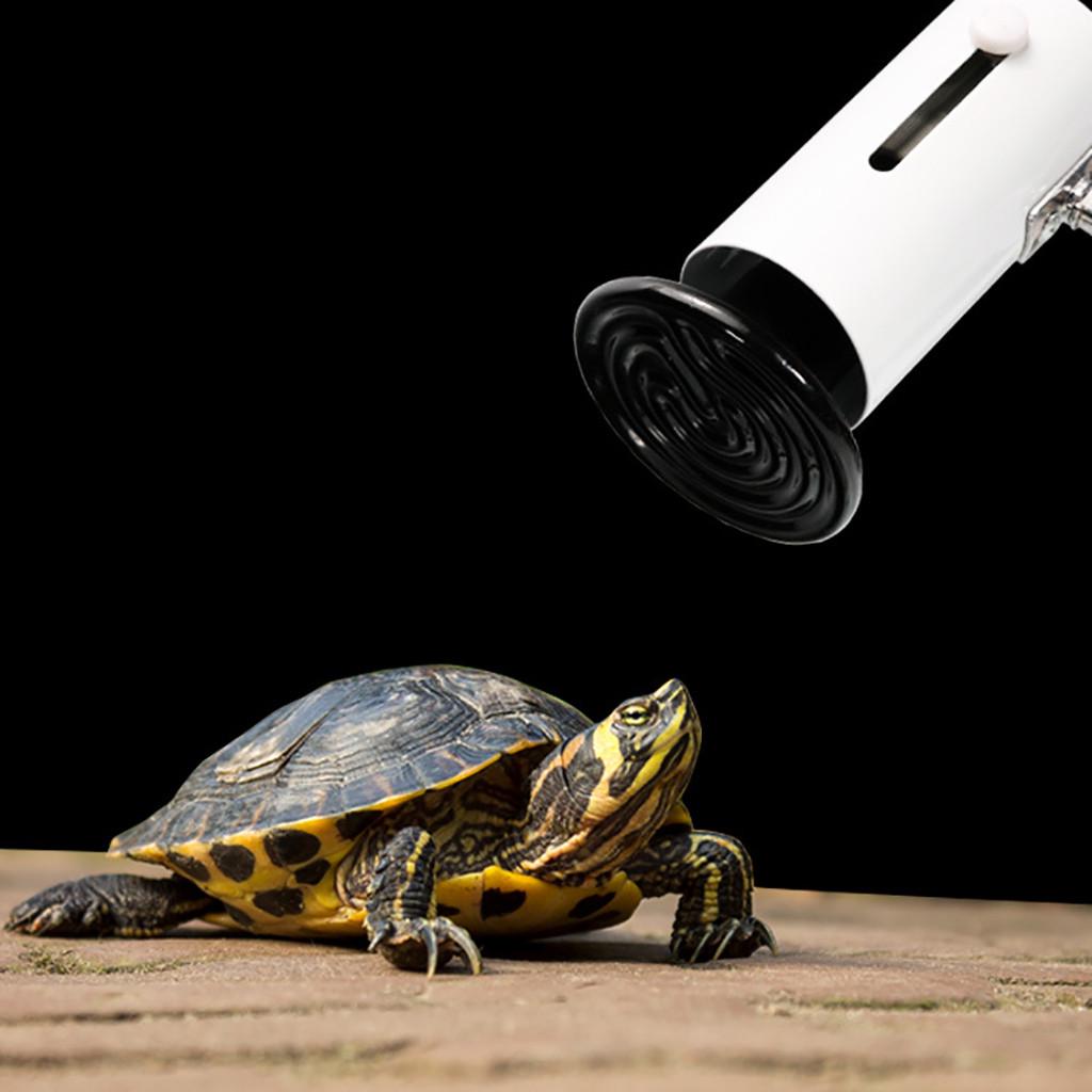 220V Infrared Ceramic Emitter Heat Light Lamp Bulb For Reptile Pet Brooder