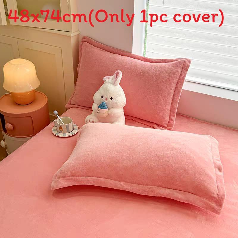 Modern Simplistic Doublesided Milk Velvet Pillowcase With Crystal Fleece For Home Comfort