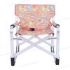 ZISIZ Children's Folding Director Chair