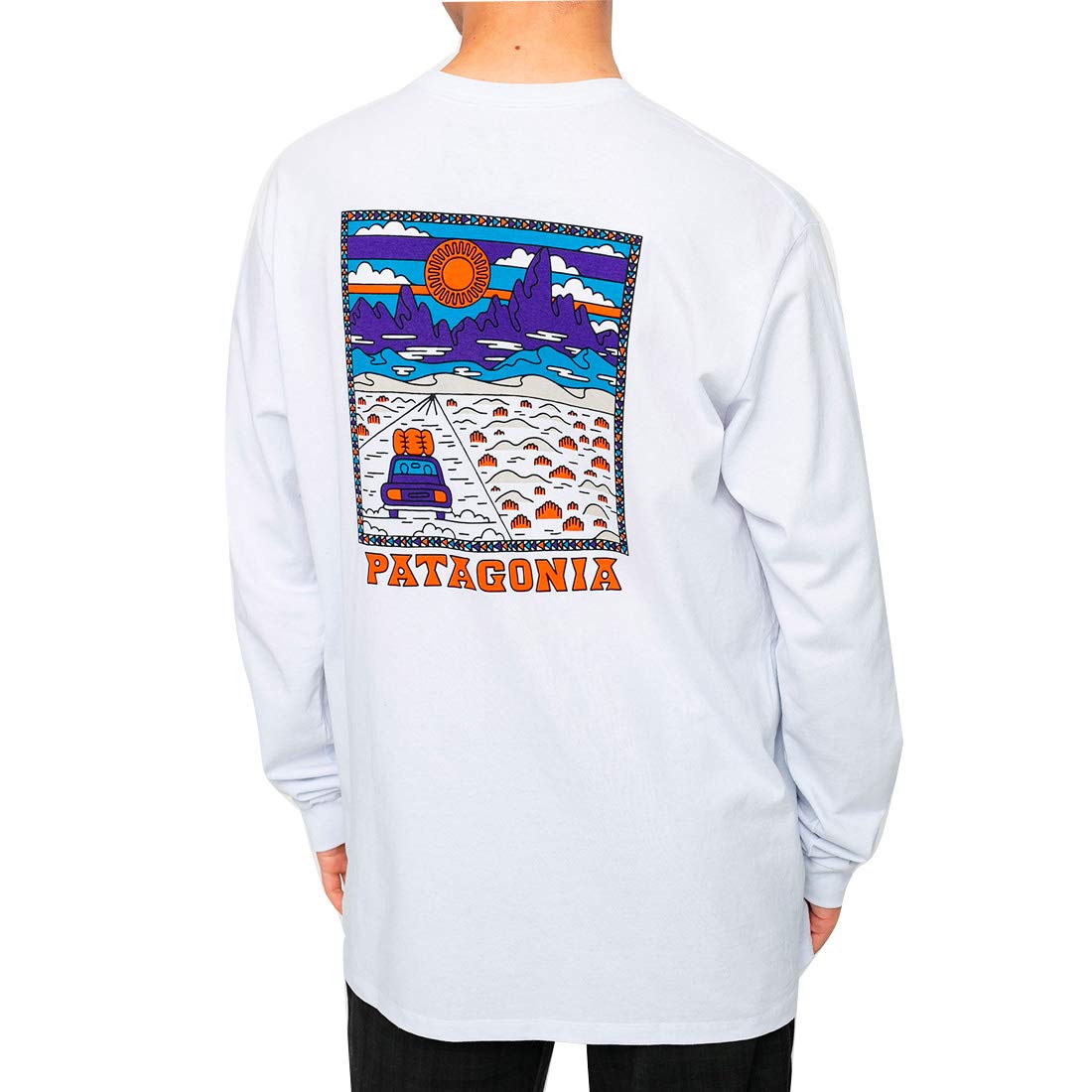 

PATAGONIA ЛОНГСЛИВ SUMMIT ROAD RESPONSIBILI TEE 38519 WHI (МУЖСКОЙ(L)) [Элемент] белый