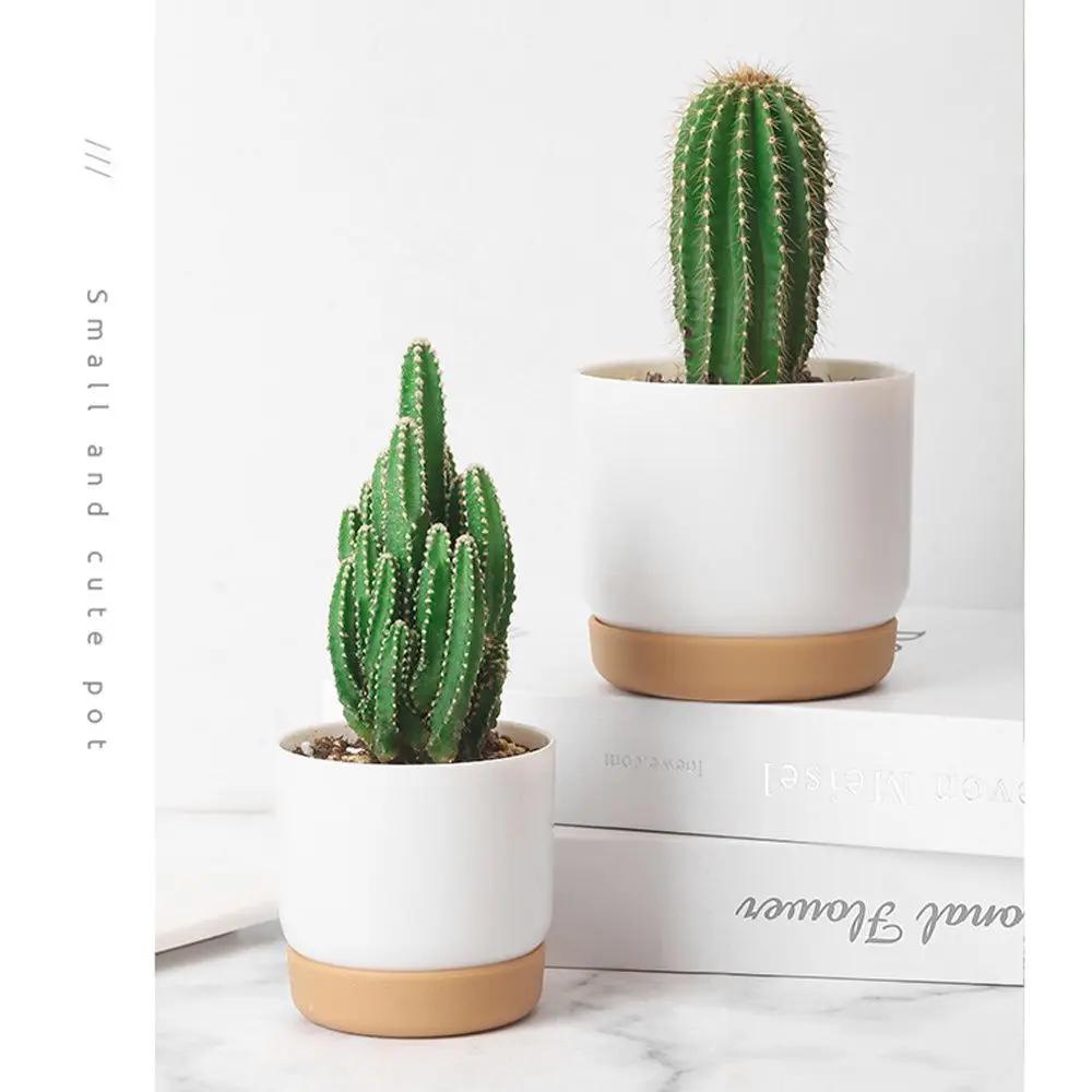 Cactus Garden Supply Succulent Plants Self Watering Flower Pot With Drainage Hole Orchid Pots Flower Containers Indoor
