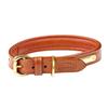 Weatherbeeta Padded Leather Dog Collar