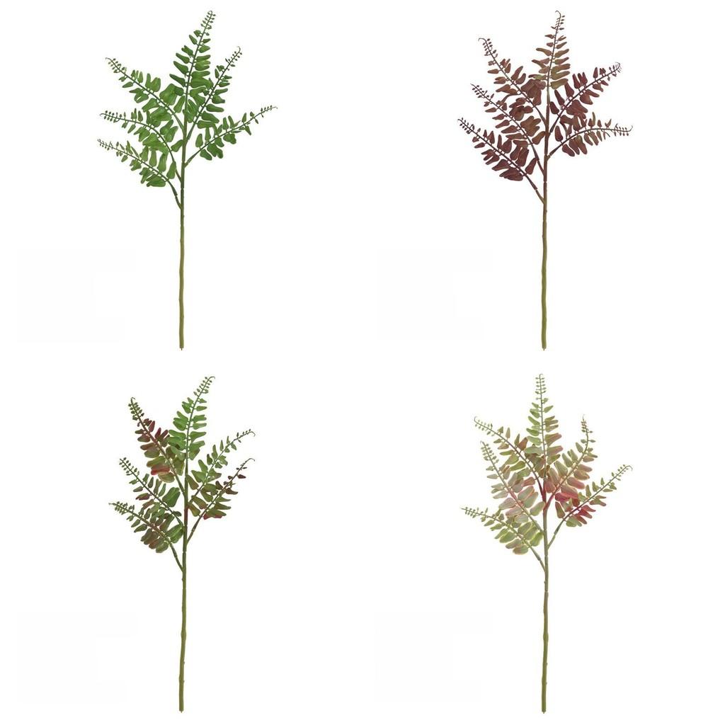 Artificial Exaltata Nephrolepis For Indoor Outdoor Decor And Studio Photography