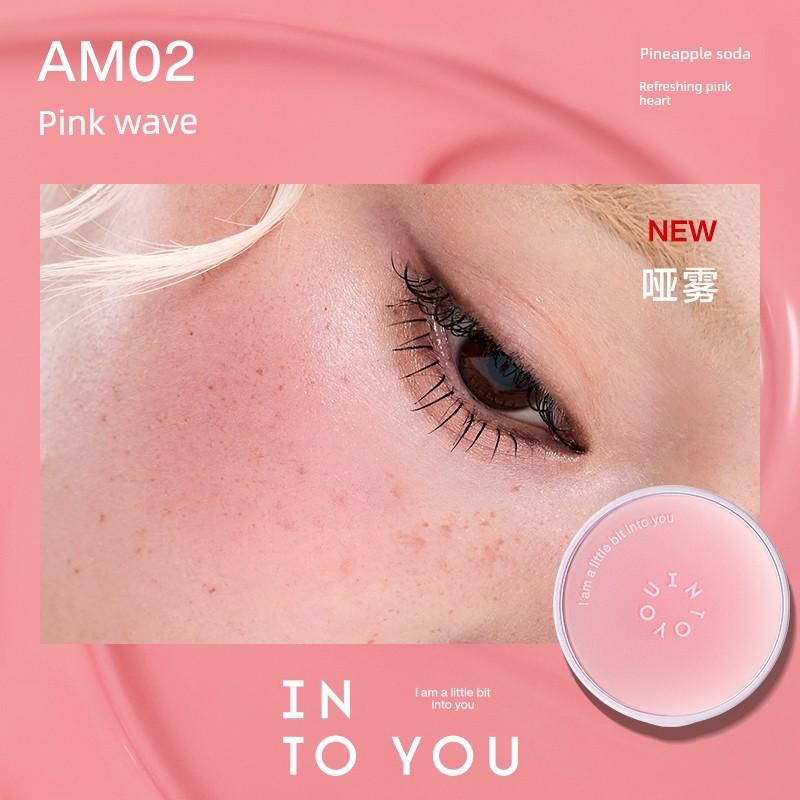 Upgrade 2.0! into You Cushion Blush Cream Water Gloss Sunscreen Blush Palette Hot-Selling Affordable Mud Color 2026 New Model