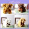 Mini Teddyhund Plüsch Schlüsselanhänger Kurzes Plüschmaterial Realistisches Design 12 cm Hoch