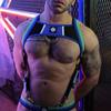 Harness Retro Remix Blue - Breedwell - Harness
