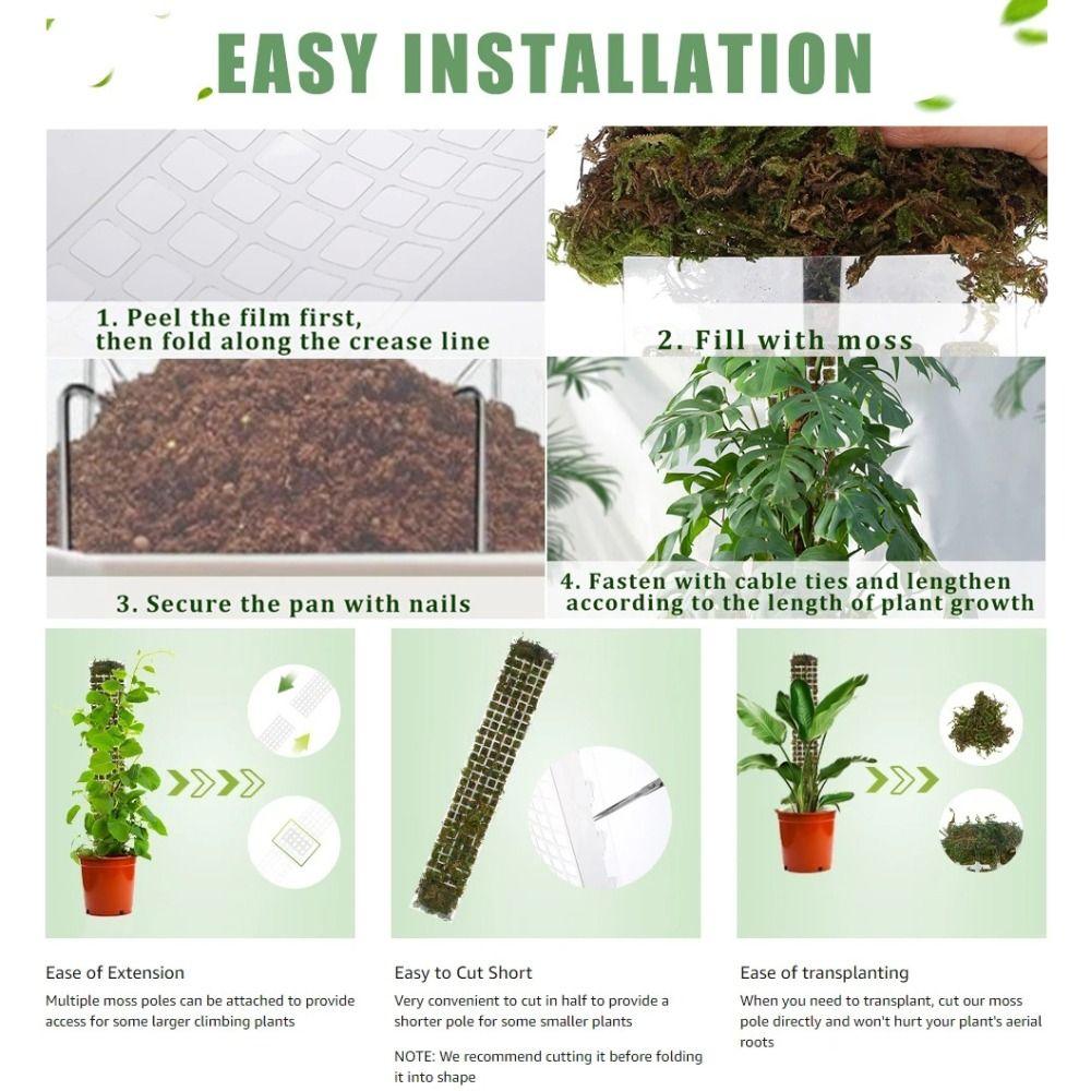 Plastic Plant Stand Reusable Climbing Plants Guardian Unique Garden Support Accessories