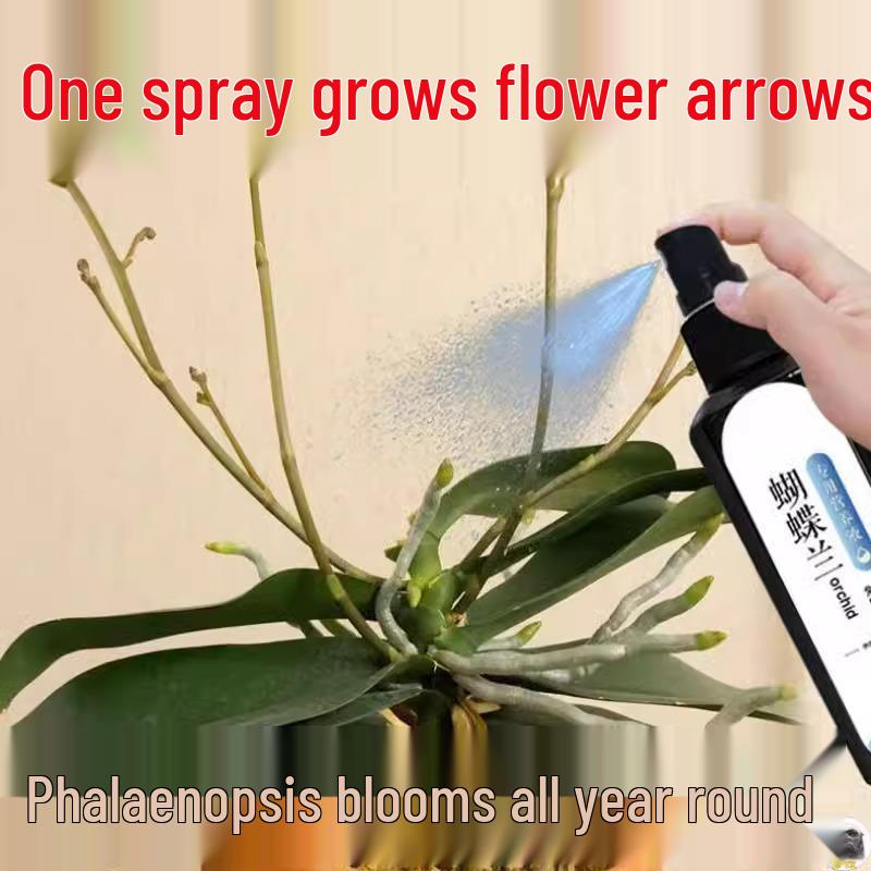 Phalaenopsis Burst: Orchid-Specific Nutrient for Spike Blooming & Yellow Leaf Prevention - Universal Organic Fertilizer