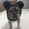 Solid Color Dog Fleece Hats Soft Dog Headgear Pets Supplies Dog Warm Caps  Pet Use