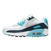 Air Max 90