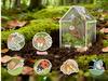 Sturdy Acrylic Araneid Enclosure with Front Access Feeding Port for Pets 5 Inch Length 5 Inch Width 8 Inch Height Transparent