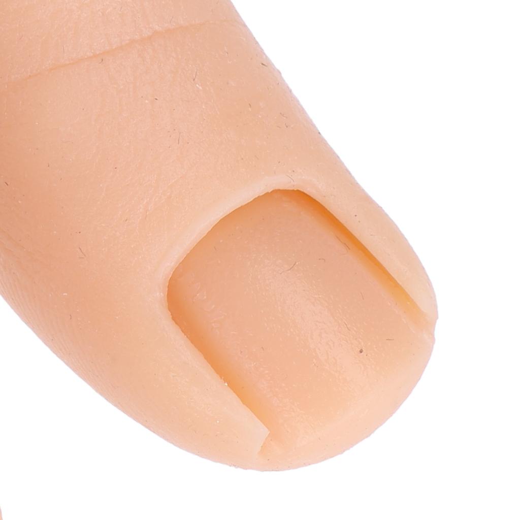 Zehennagel-Übungssilikon-Simulationszehen zum Bemalen, Schnitzen, Üben für Nagelkunst-Enthusiasten und professionelle Techniker