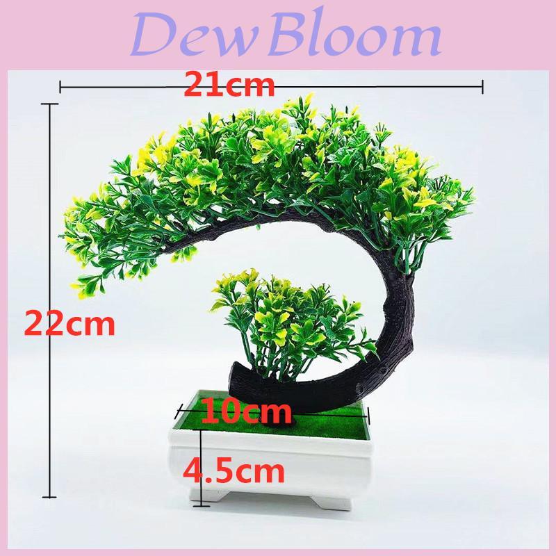 Pinus Hwangshanensis Miniature Bonsai Plastic Pot Landscape Home Decor