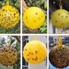 1-20 Pieces Summer Fruit Fly Trapping Ball Sticky Fruit Fly Catcher Glue Ball Multi-function Fruit Fly Mosquito Fly Catcher