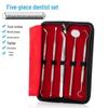 5-Piece Stainless Steel Dental Tool Set with Mouth Mirror