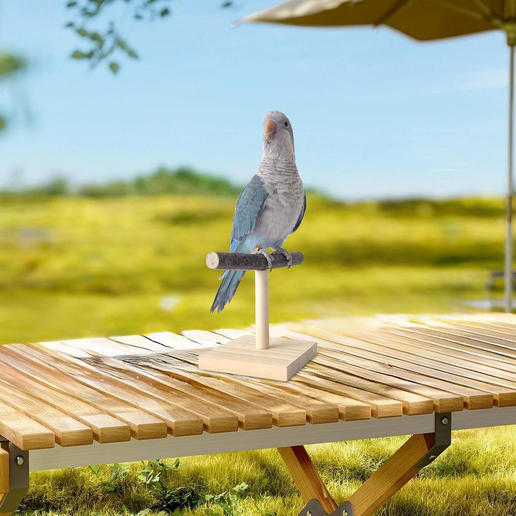 Natural Desktop Stand Pet Parrot Raw Wood Fork Tree Branch Stand Rack Perch PlatformCage Accessories For Parrotlets