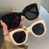 Oversized Butterfly Cat Eye Sunglasses New Trendy Fashion Female Lady Shades Colorful Popular  Designer Eyewear for Women