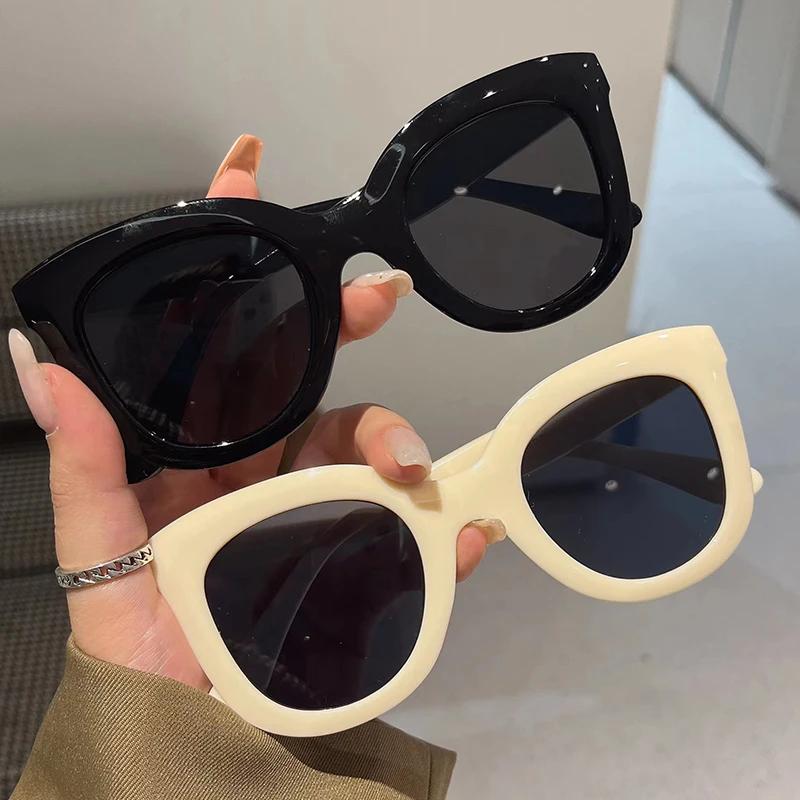 Oversized Butterfly Cat Eye Sunglasses New Trendy Fashion Female Lady Shades Colorful Popular Designer Eyewear for Women
