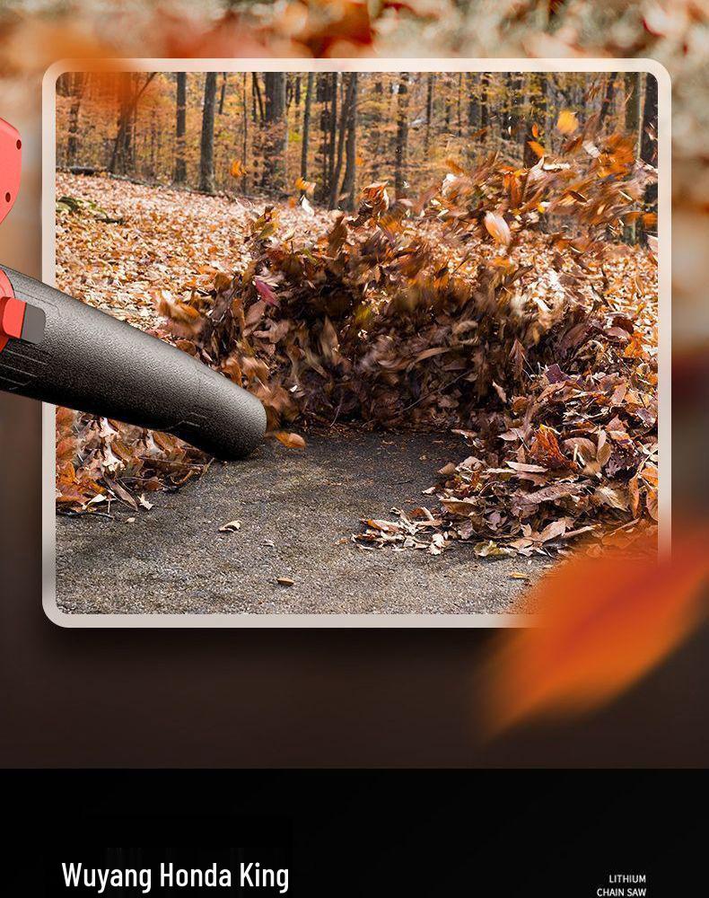 Kabelloser Hochleistungs-Akku-Haar- und Staubtrockner mit Lithium-Akku