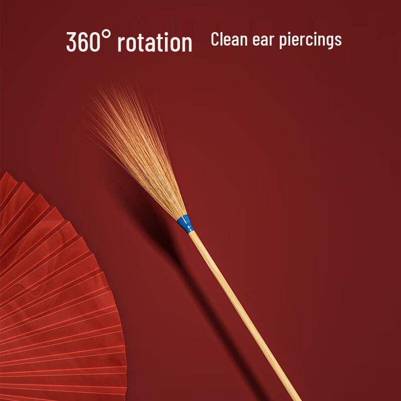 Professional 10-Piece Ear Cleaning Tool Kit