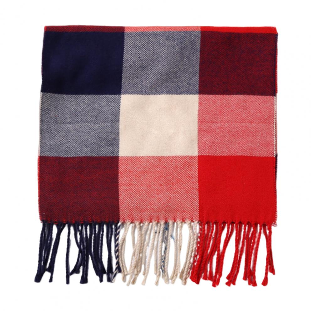 Men Scarf Plaid Pattern Tassel Trim Long Style Wrap Imitation Cashmere Thermal Insulation Scarf Daily Wear