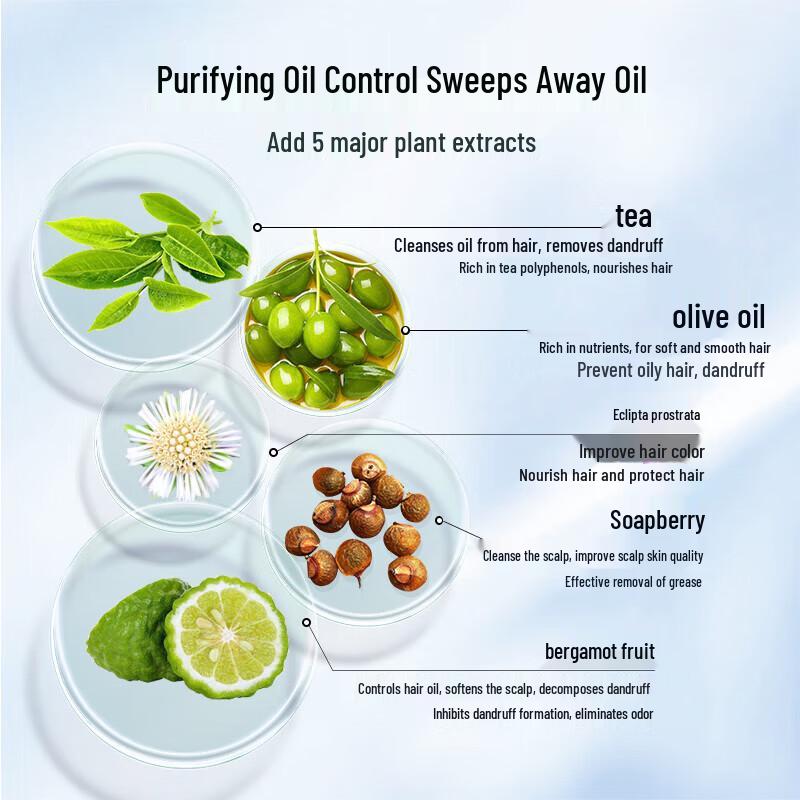 Bai Nian Run Fa Amino Acid Oil Control Volumizing Shampoo