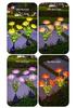 Cross-Border Solar LED Lycoris Radiata Lawn Light - Outdoor Decorative Ground Plug Landscape Lamp.