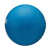 MIKASA Soft 60cm Elementary School Dodgeball, (for Children), 200g, Blue, LD-B