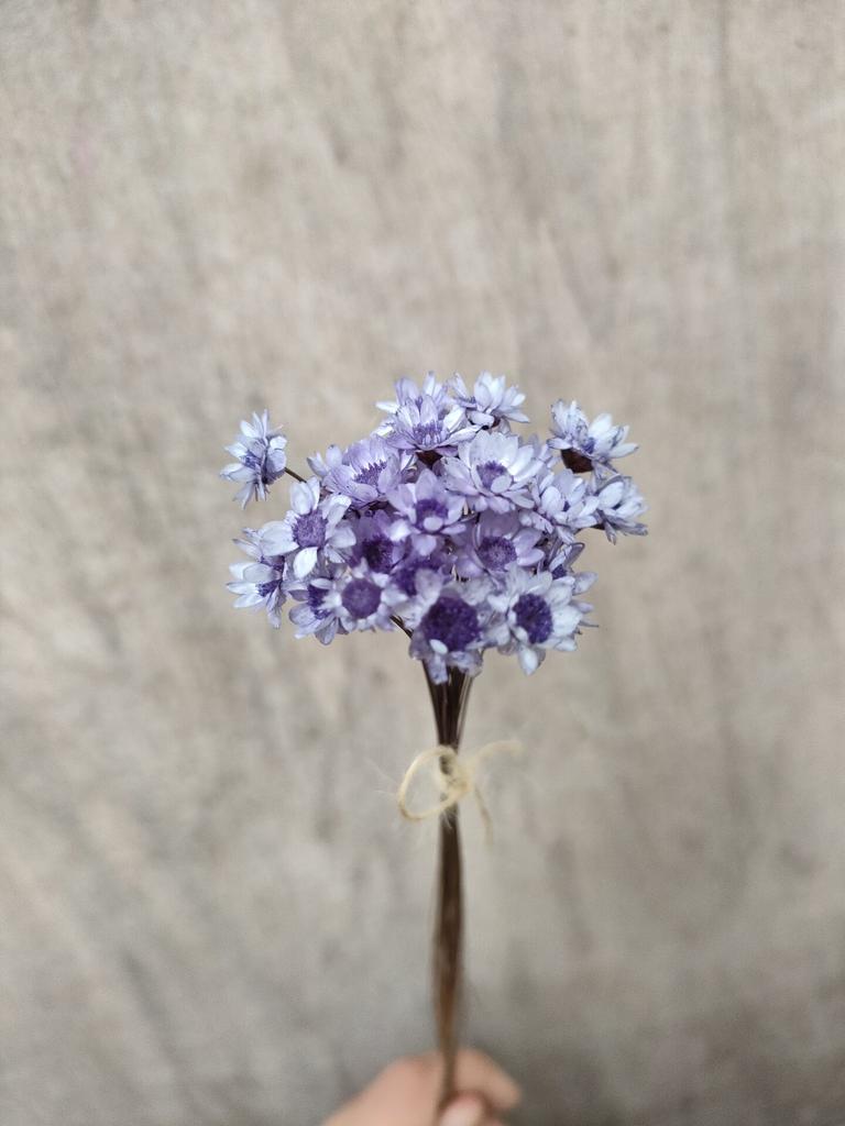 Dry Flower Wedding Party Essential Decorations For Home Home Décor Accents DIY-friendly Pressed Flowers For Party Floral