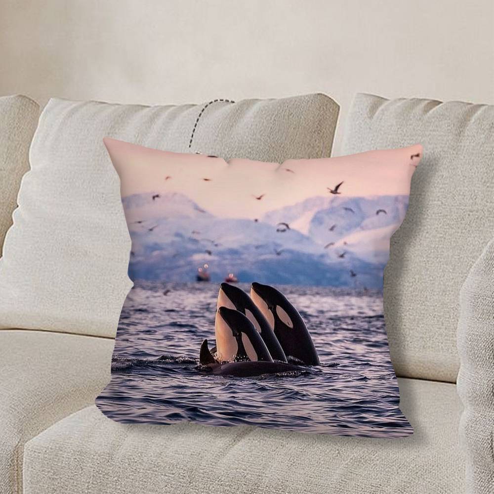 O-Orca Velryba W-Velryby Povlak na polštář Pohovka Obývací pokoj Ložnice Čelo postele Opěrka Polštář Čtvercový polštář Čas na zdřímnutí