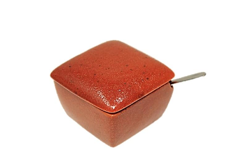 Set of 10 Danjuro Red Brown Square Condiment Containers Made In Japan Ceramic Stainless Steel Spoon Included Commercial Use Ichimi Salt Sansho