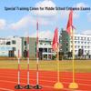 Multi-Purpose Training Obstacle Poles