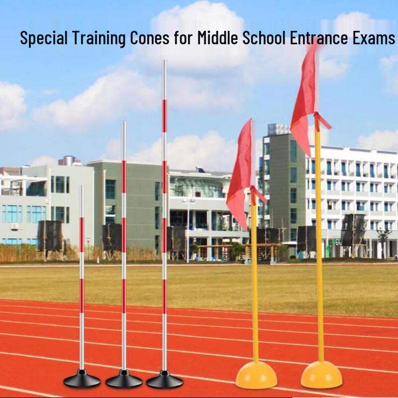 Multi-Purpose Training Obstacle Poles